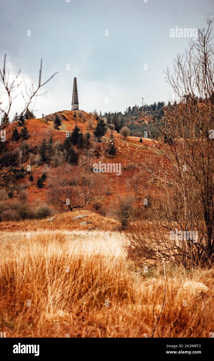 Monument de Murray dans la forêt de Galloway, Écosse Banque D'Images