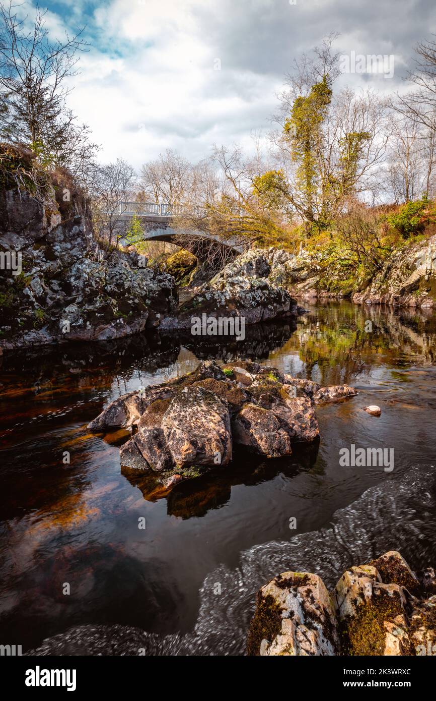 Parc national de Galloway Forest dans la journée Banque D'Images