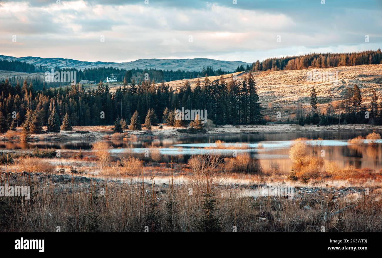 Parc national de Galloway Forest dans la journée Banque D'Images