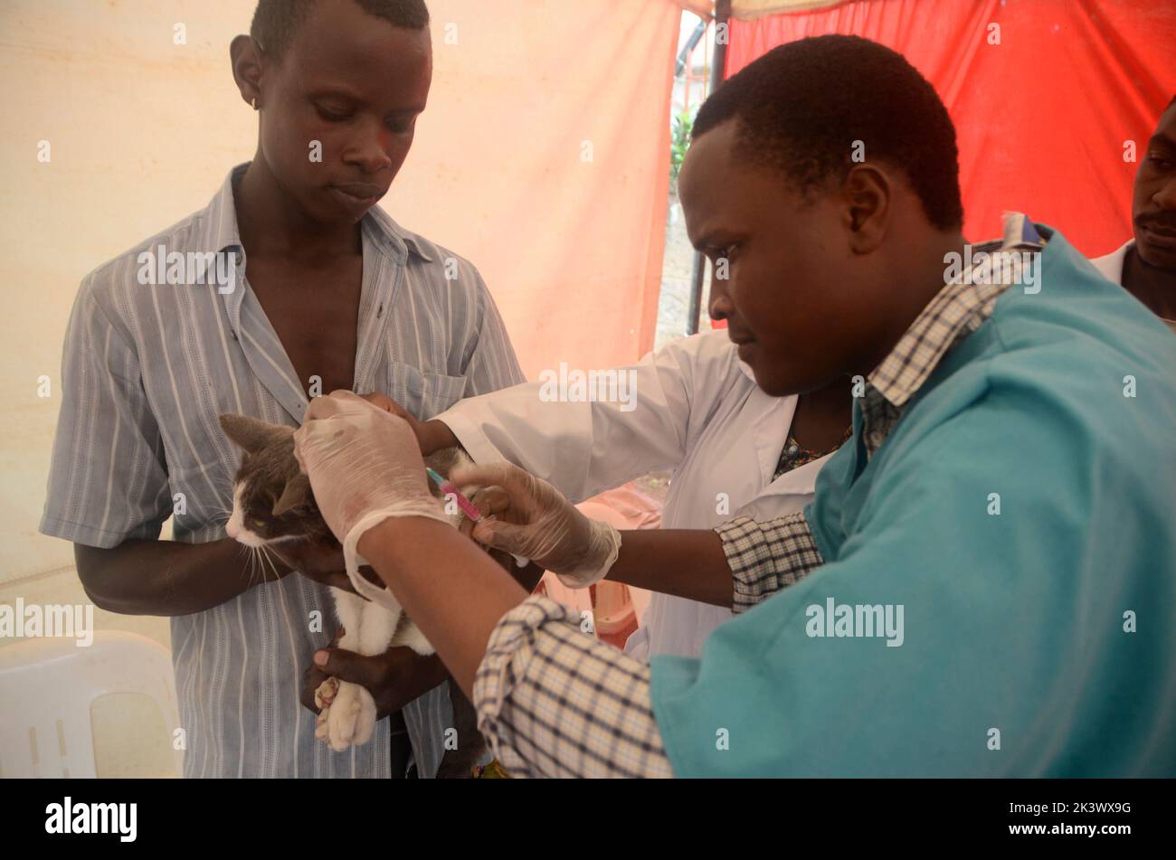Kampala, Ouganda. 28th septembre 2022. Un vétérinaire administre un vaccin gratuit contre la rage pour un chat lors de la Journée mondiale de la rage à Kampala, en Ouganda, le 28 septembre 2022. Crédit: Nicholas Kajoba/Xinhua/Alamy Live News Banque D'Images