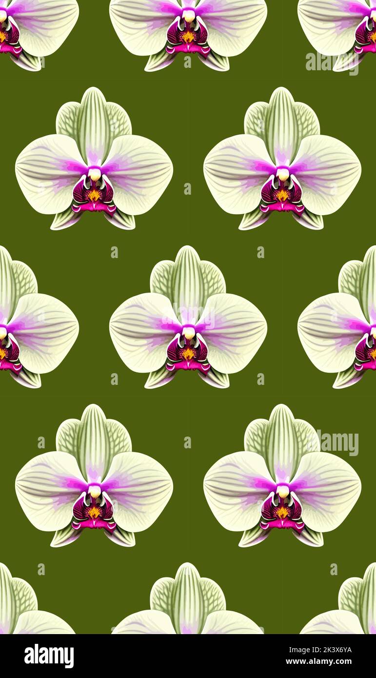 Motif sans couture de fleurs d'orchidées sur une illustration botanique vectorielle verte de haute qualité Illustration de Vecteur