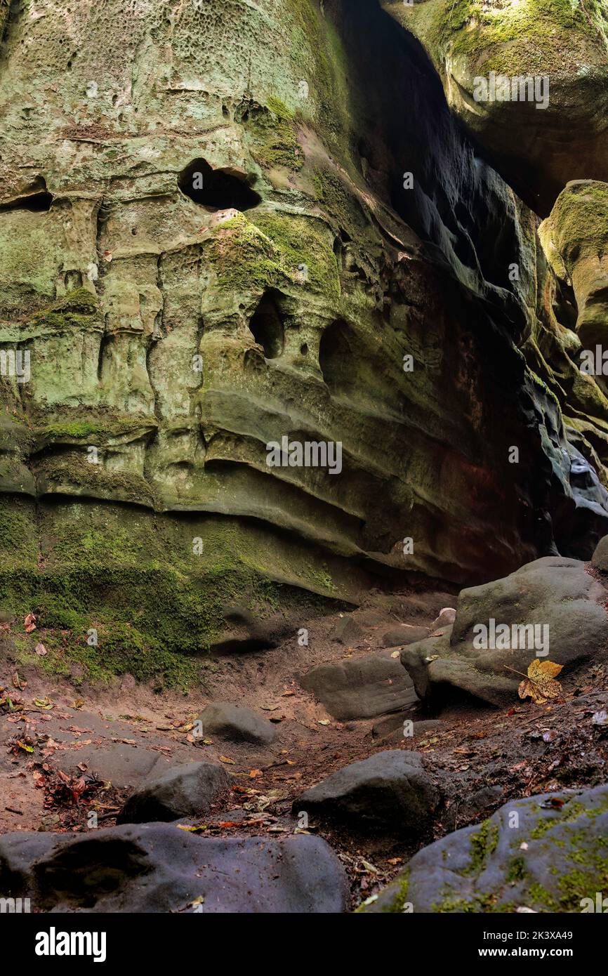 Formation rocheuse et paysage boisé à l'intérieur de la région de Luxembourg Little Switzerland (Mullerthal) près de la frontière allemande. Photo de haute qualité Banque D'Images