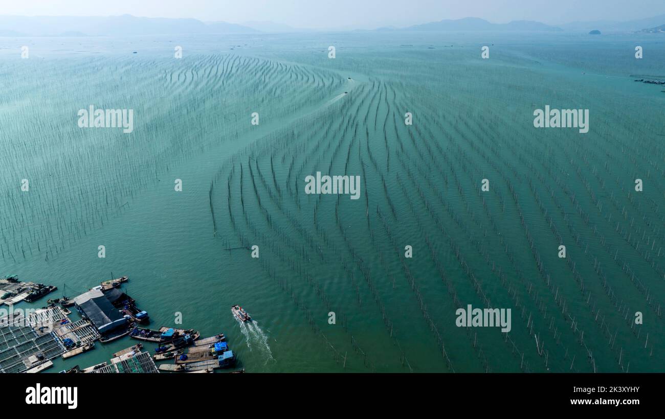NINGDE, CHIAN - 24 SEPTEMBRE 2022 - la voie navigable en forme de S de la rivière Shajiang, le plus beau plateau de marée de Chine, est vue dans la ville de Ningde, province de Fujian, Chine, 24 septembre 2022. (Photo de CFOTO/Sipa USA) Banque D'Images