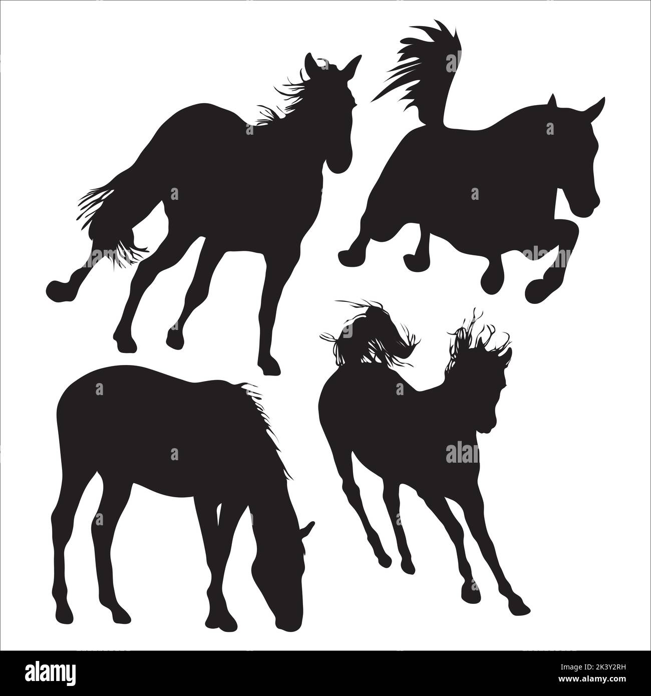 Ensemble vectoriel de chevaux Silhouettes Illustration isolée sur fond blanc Illustration de Vecteur