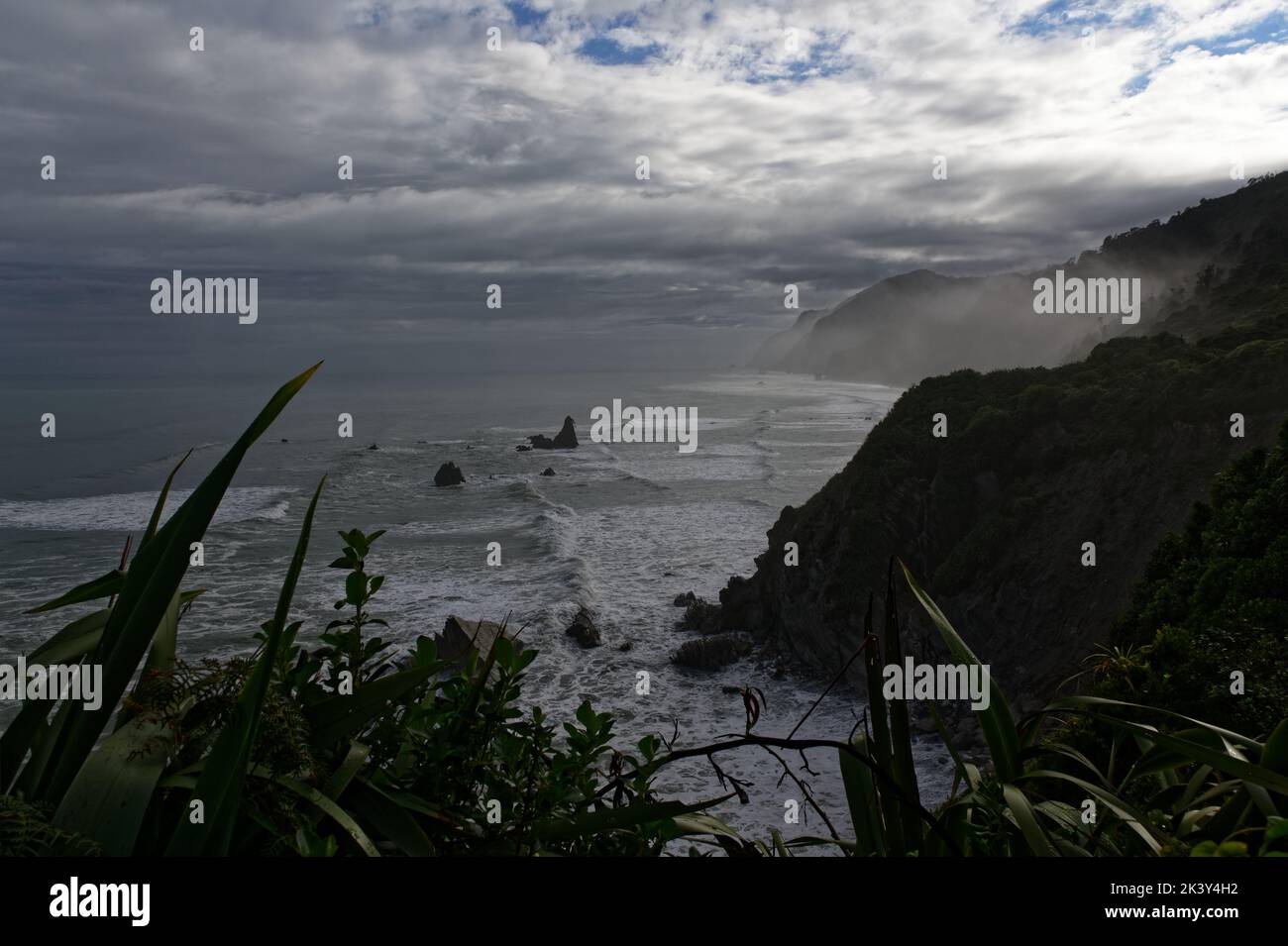 La brume se rassemble au-dessus des arbres dans une baie le long de la côte ouest Banque D'Images