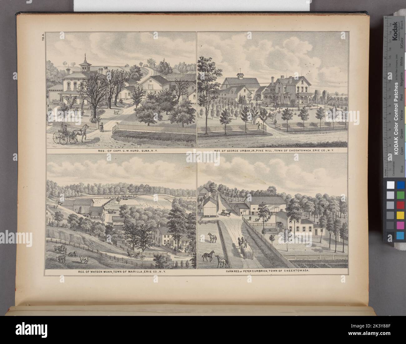 Rest. Du capt. C. W. Hurd, Elma, N.Y. ; Res. De George Urban, Jr., Pine Hill, Town of Cheektowaca, Erie Co., N.Y. ; Res. De Watson Munn, ville de Marilla, Erie Co., N.Y. ; Farm Res. De Peter Zurbrick, ville de Cheektowaga Cartographie. Atlas, cartes. 1880. Lionel Pincus et Princess Firyal Map Division. Comté d'Erie (N.Y.), immobilier , New York (État) , Comté d'Erie Banque D'Images