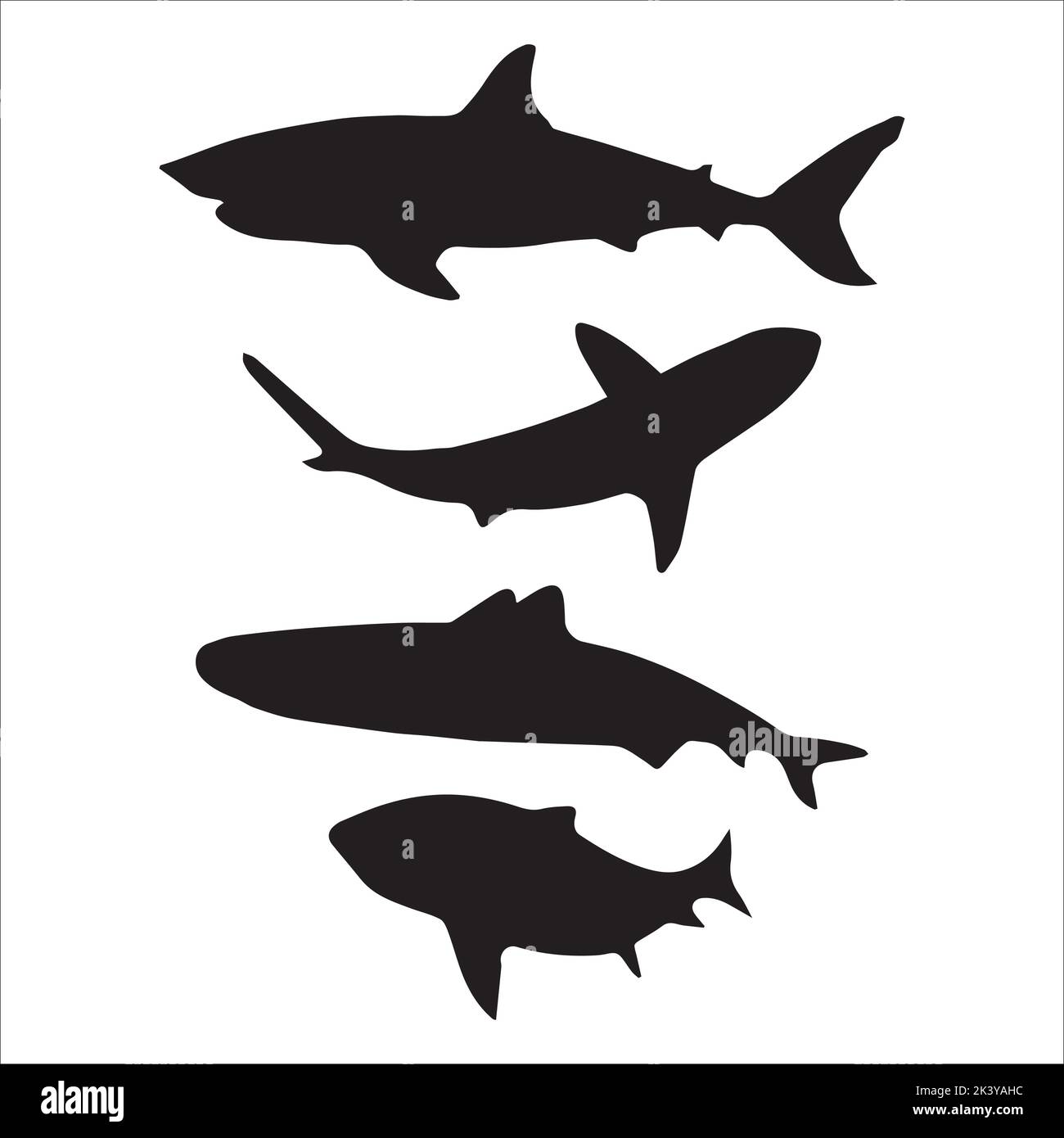 Ensemble vectoriel de silhouettes Sharks Illustration isolée sur fond blanc Illustration de Vecteur