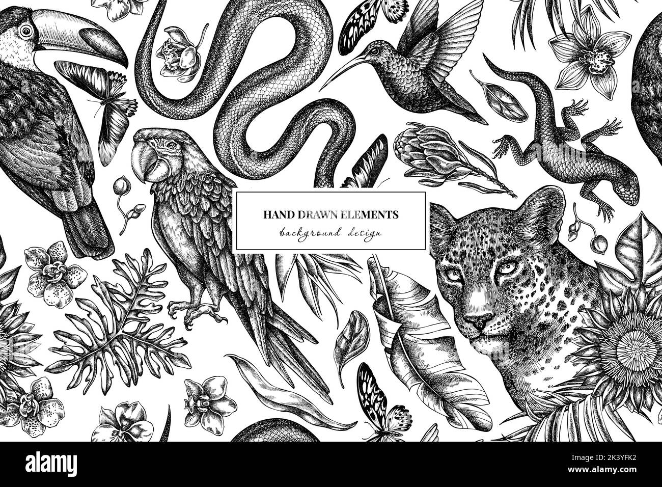 Motif animal tropical sans couture. Style gravé. Léopard dessiné à la main, serpent, lézard, colibri, toucan, cramoisi, rajah Illustration de Vecteur