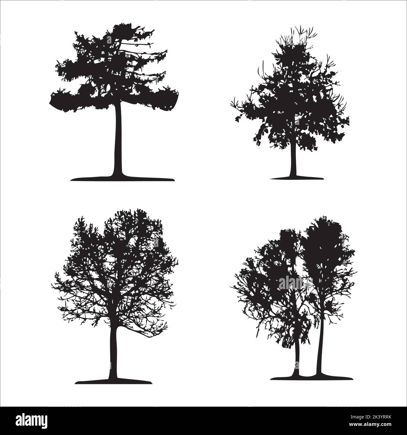 Ensemble vectoriel d'arbres Silhouettes Illustration isolée sur fond blanc Illustration de Vecteur