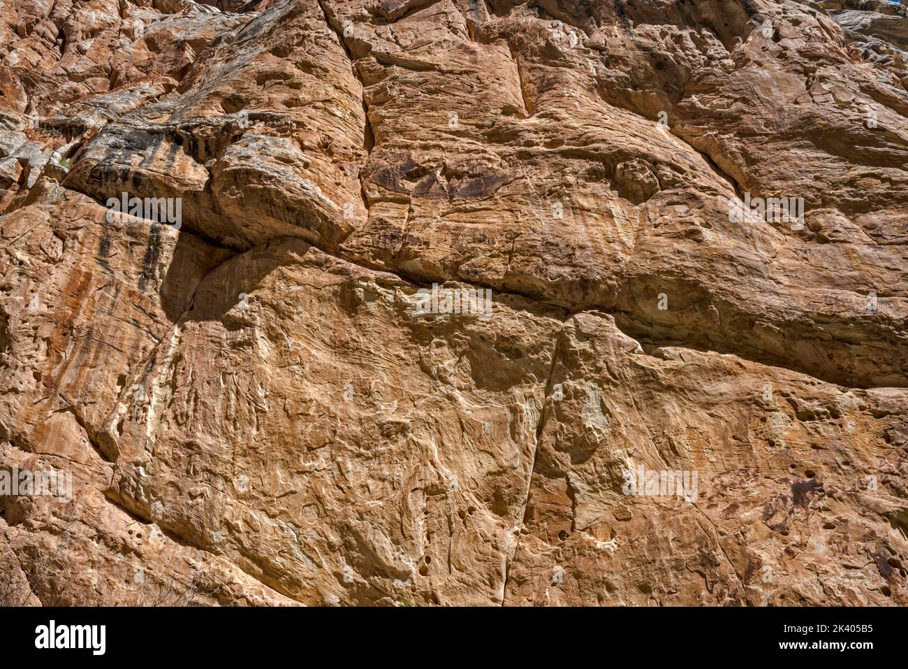 Mur de grès Weber à Box Canyon, près de la cabine Josie Morris, monument national des dinosaures, Utah, États-Unis Banque D'Images