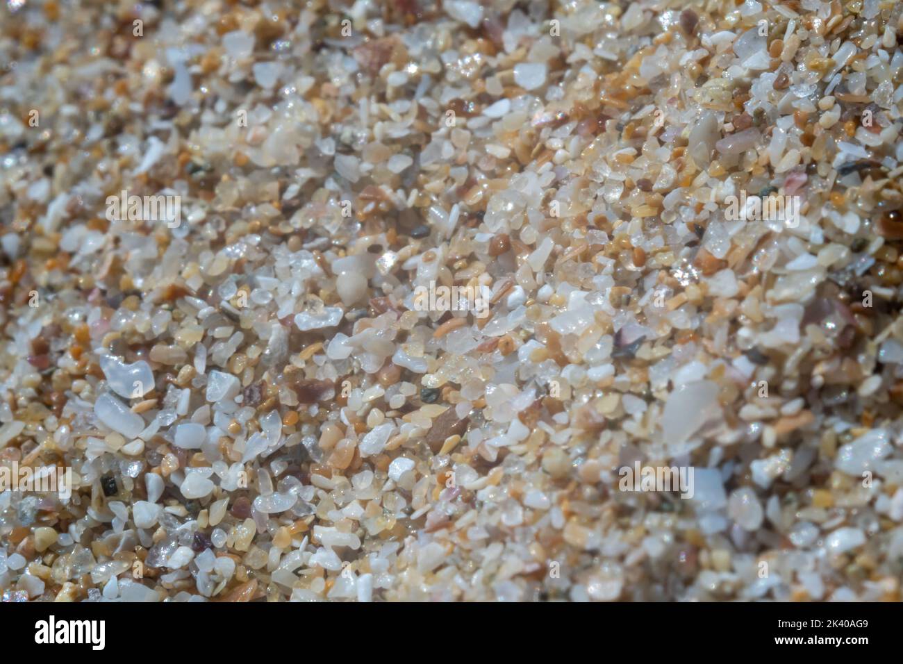 L'extrême marco du sable sur les plages de la mer Noire en Bulgarie Banque D'Images