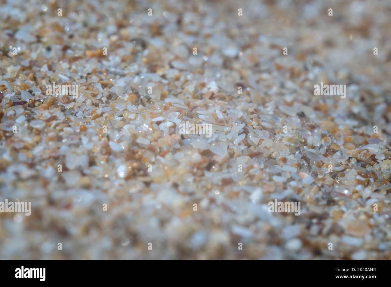 L'extrême marco du sable sur les plages de la mer Noire en Bulgarie Banque D'Images