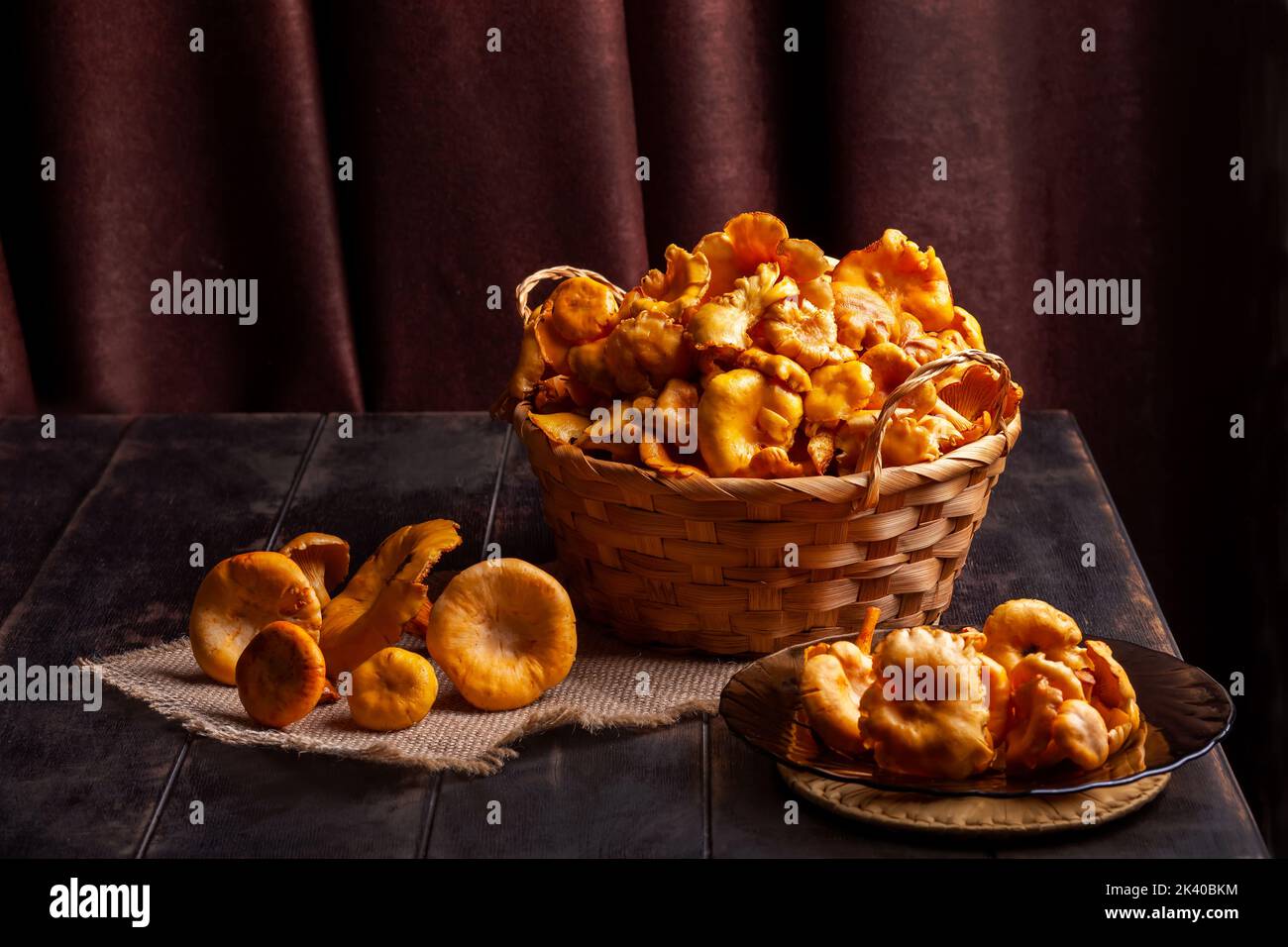 Chanterelles fraîches rassemblées dans la forêt, dans un panier en osier et sur fond de bois. Banque D'Images