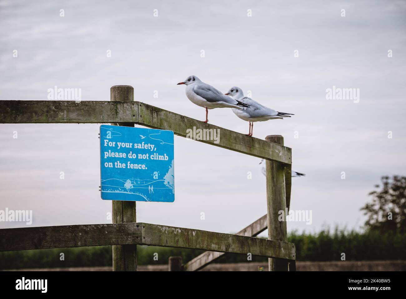 Ne montez pas sur la clôture Banque D'Images