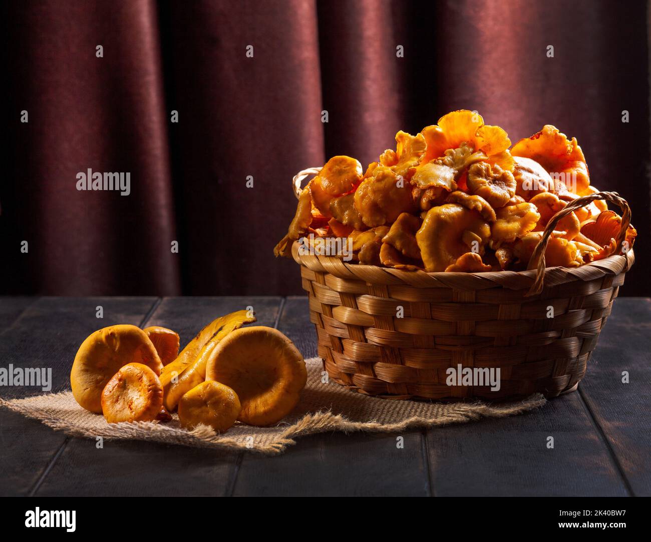 Chanterelles fraîches rassemblées dans la forêt, dans un panier en osier et sur fond de bois. Banque D'Images