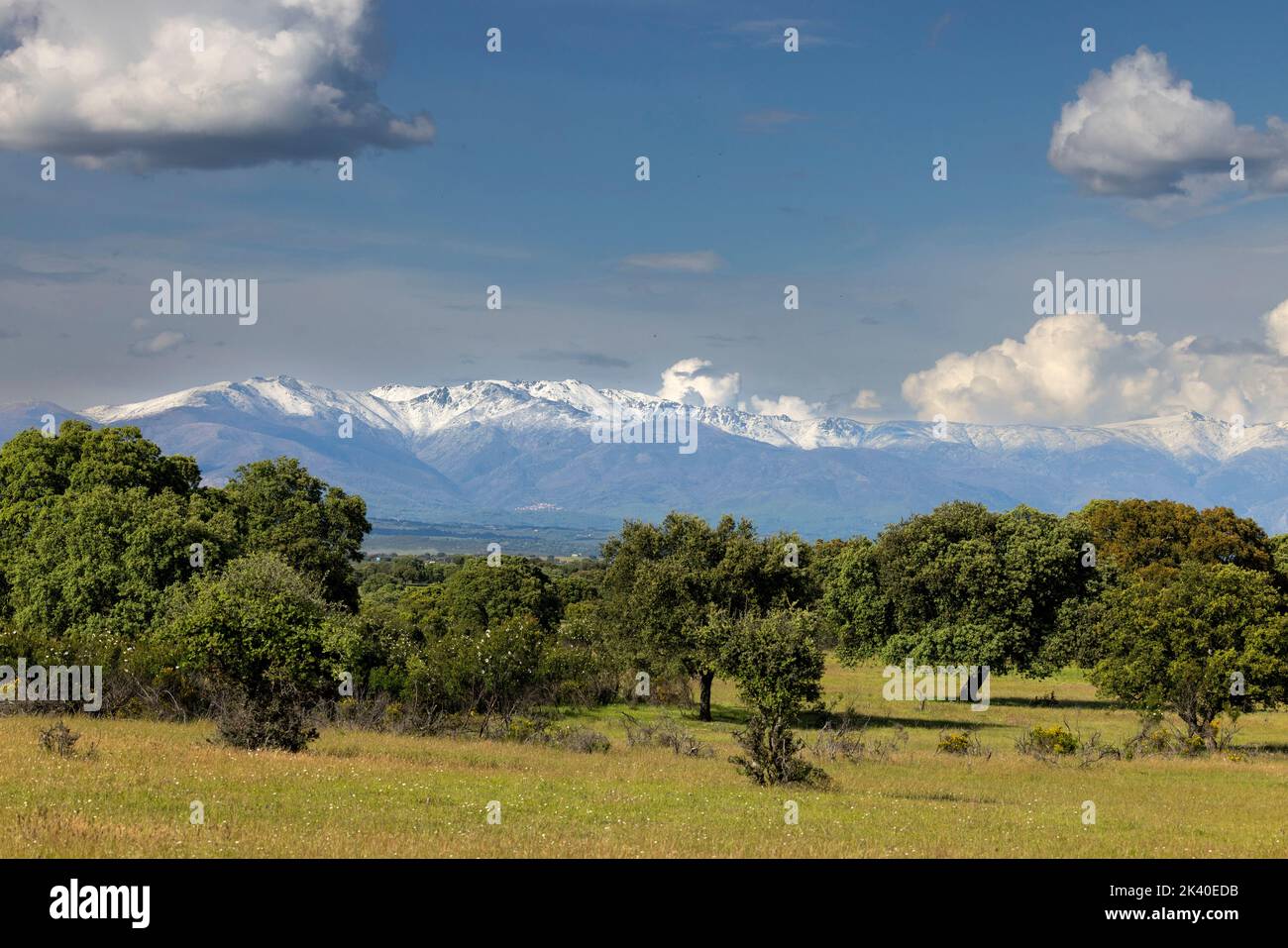 Sierra de Gredos, cimier de montagne enneigée, vue depuis le parc national de Monfrague près de la Herguijuela, Espagne, Estrémadure, Parc national de Monfrague Banque D'Images