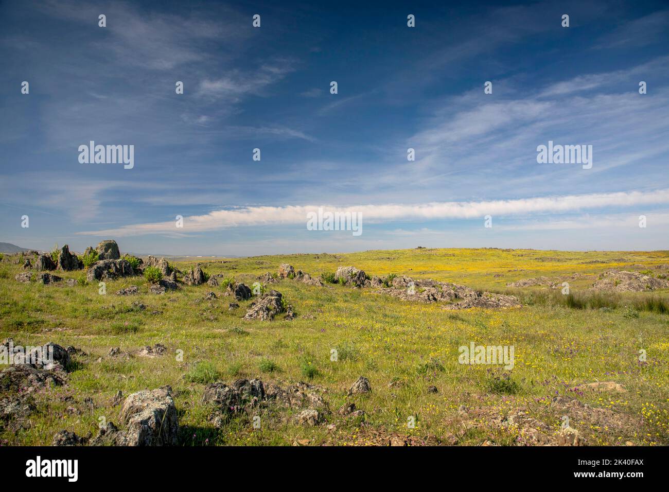 paysage de steppes en pierre et floraison la Serena, Espagne, Estrémadure, Catuera Banque D'Images