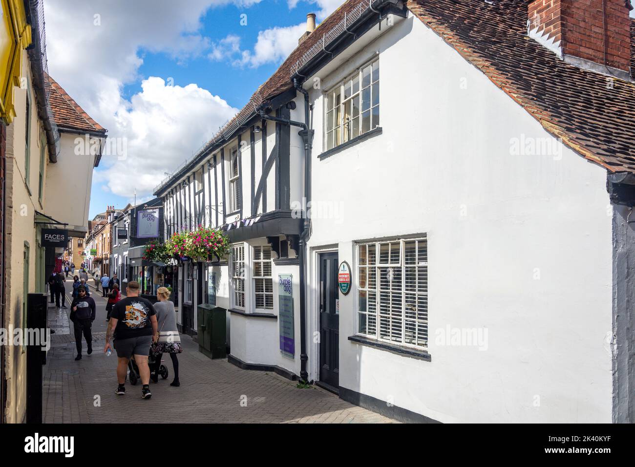 Purple Dog Tavern, eld Lane, Colchester, Essex, Angleterre, Royaume-Uni Banque D'Images