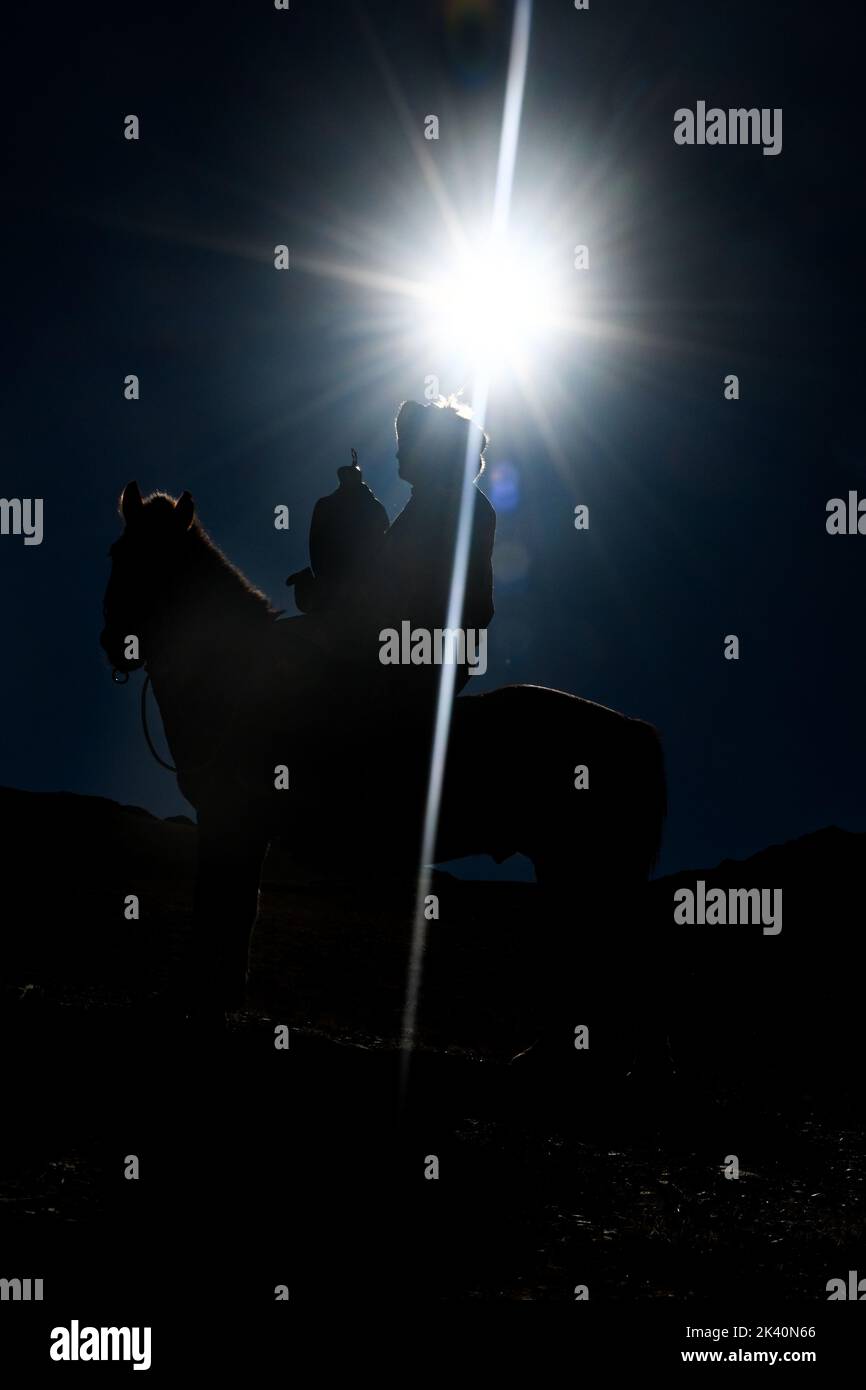 Les chasseurs d’aigles mongoles, au cœur des collines escarpées de la région mongole de l’Altaï, vivent un groupe de chasseurs avec une compétence extrêmement rare : la chasse au golde Banque D'Images