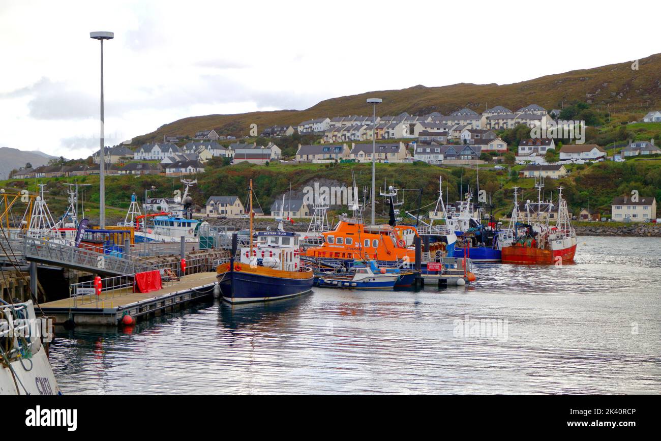 Vue sur les bateaux de pêche commerciaux et le RNLI Lifeboat amarré sur la côte ouest de l'Écosse dans le port et le port de Mallaig, Morar. Écosse, Royaume-Uni. Banque D'Images