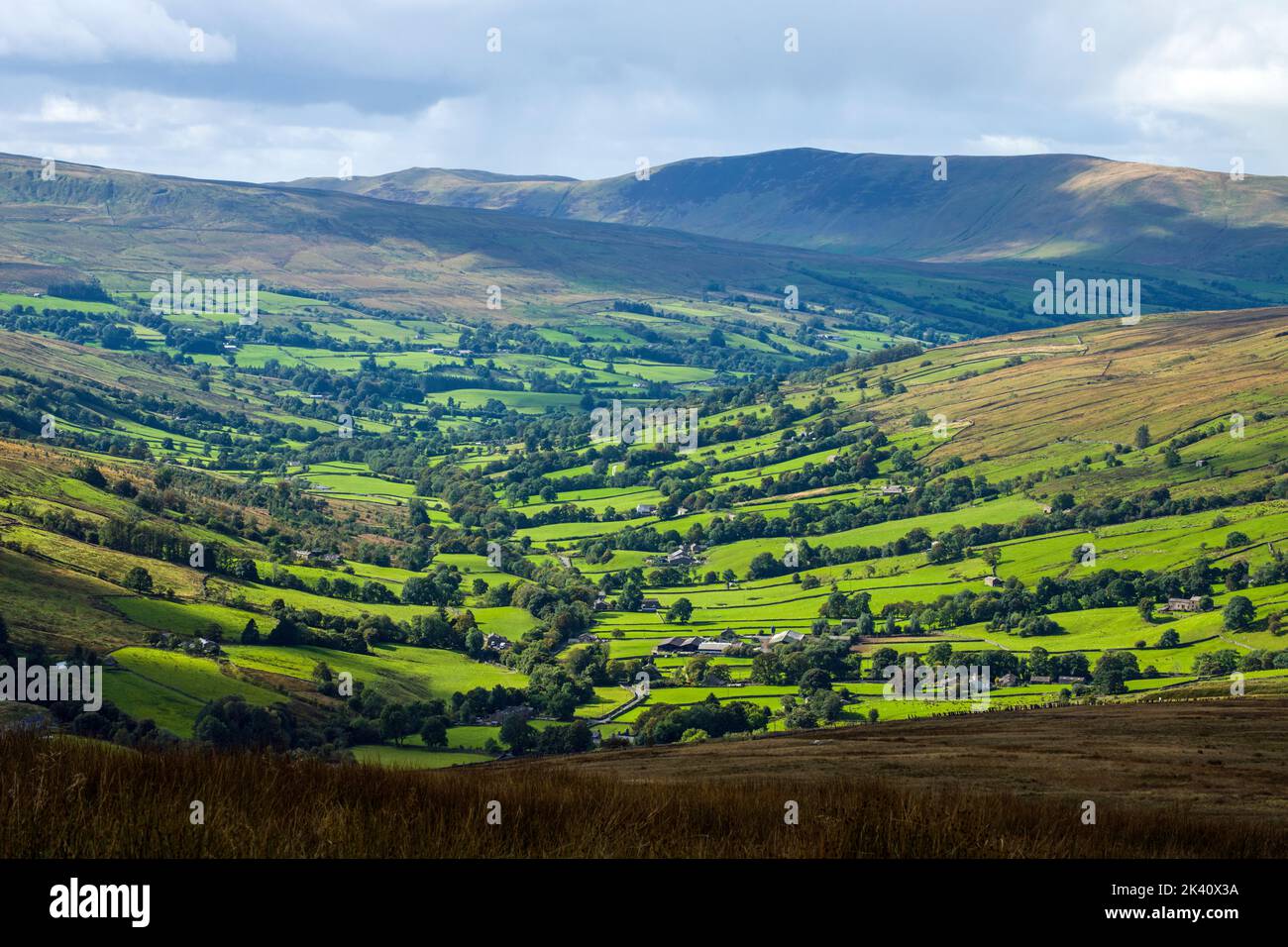 Une vue imprenable sur la partie supérieure de Dentdale depuis Cowgill avec Fells en arrière-plan Banque D'Images