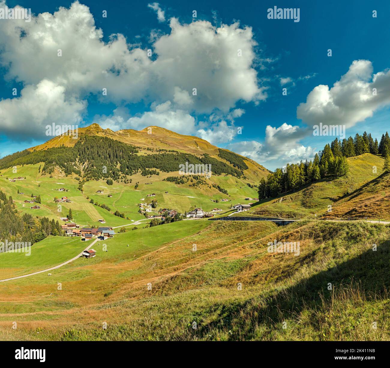 Un petit village dans la vallée de Schanielenbach, Pratigau *** Légende locale *** Sankt Antönien, Grisons, Suisse, paysage, champ, prairie, tre Banque D'Images