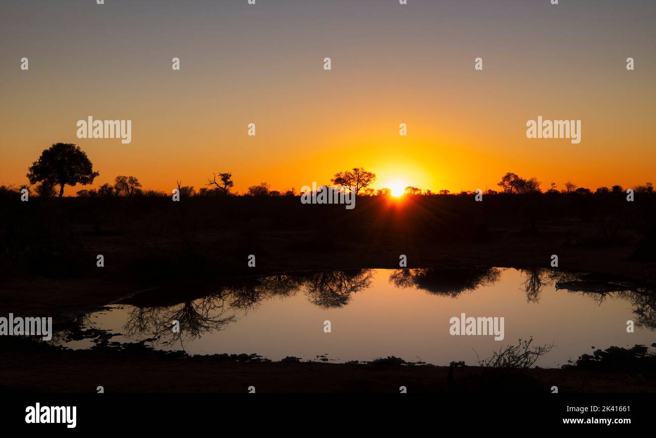 Lever du soleil sur la savane africaine Banque D'Images
