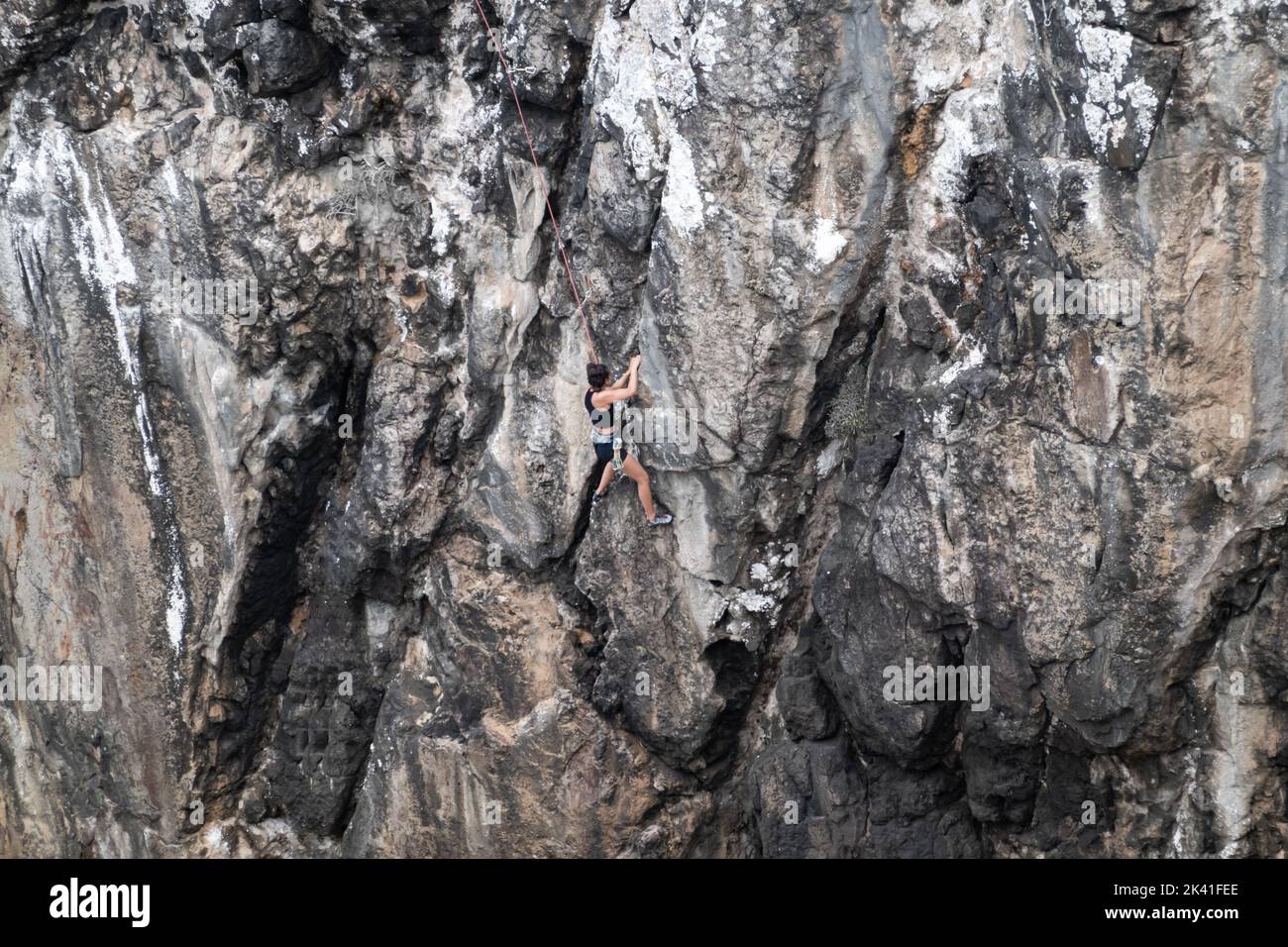 Sagres, Portugal - 30 mai 2022 : grimpeur de roche femelle unique montant une falaise côtière rugueuse fixée avec une corde supérieure en été près de Sagres Portugal Banque D'Images