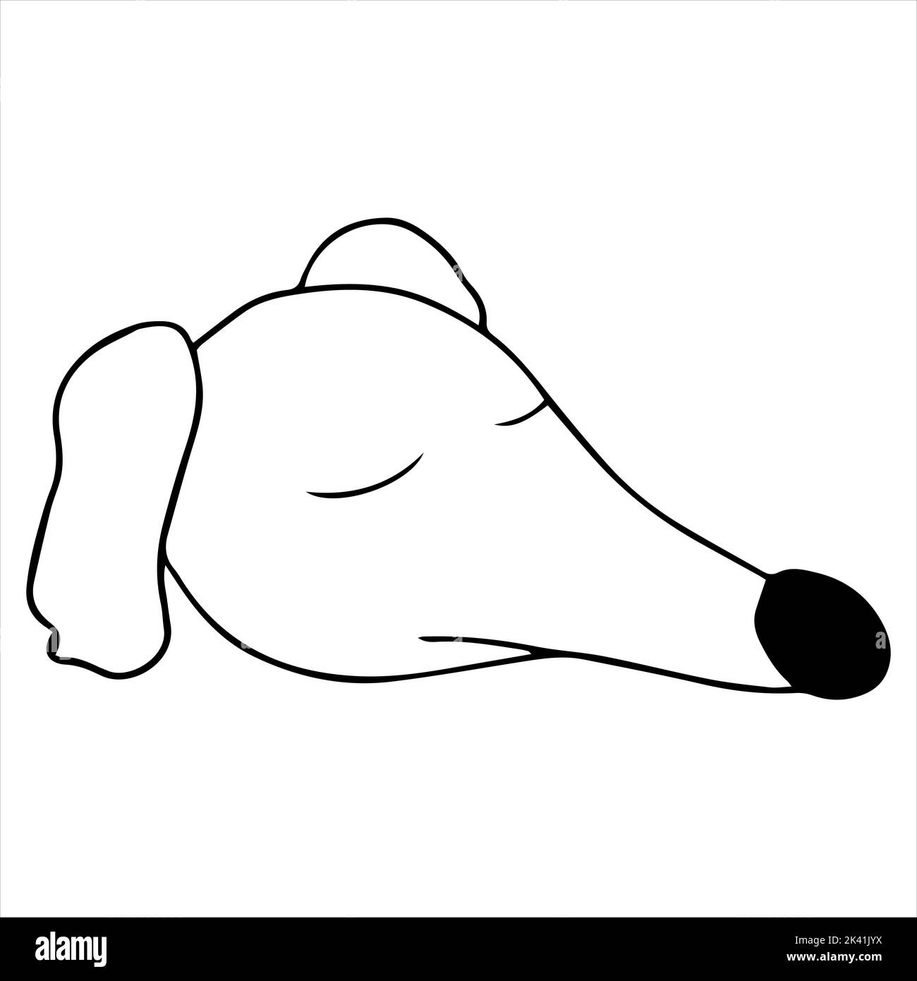 Portrait vectoriel d'un chien de chasse qui soupire dans un style de dessin animé Doodle. Race russe de borzoï. Illustration PET dans le style de dessin au trait. Illustration de Vecteur