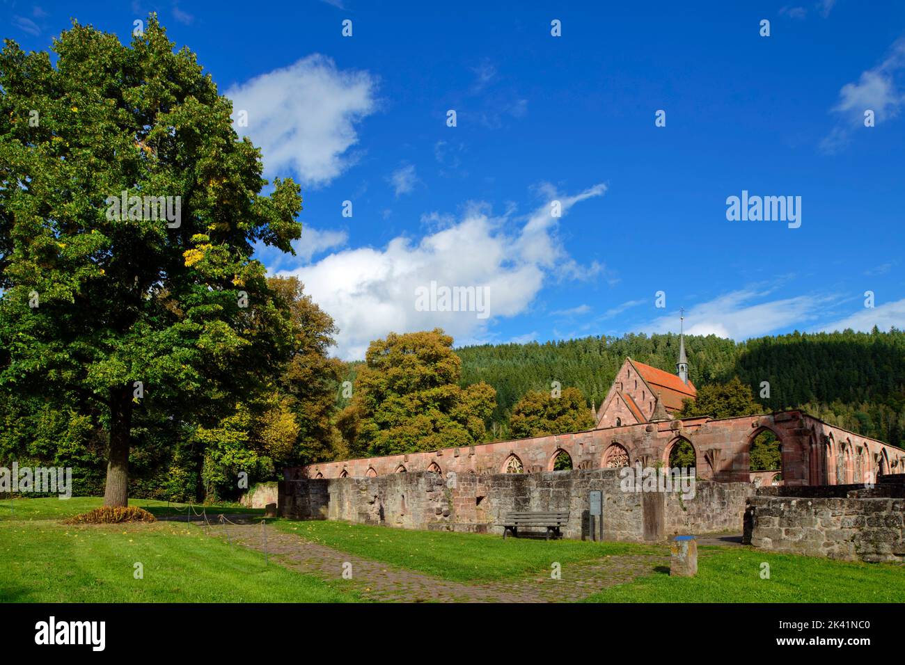 Abbaye de Hirsau (ancienne abbaye bénédictine) : ruines du cloître et chapelle de la Dame, près de Calw dans la Forêt Noire du Nord, Bade-Wurtemberg, Allemagne Banque D'Images