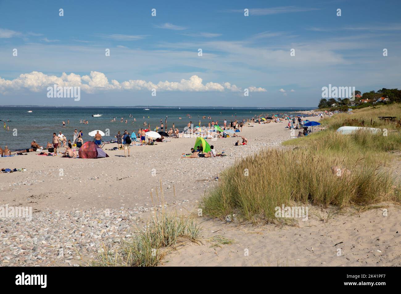 Plage de Dronningmolle l'après-midi ensoleillé d'été, Dronningmolle, Zélande, Danemark, Europe Banque D'Images