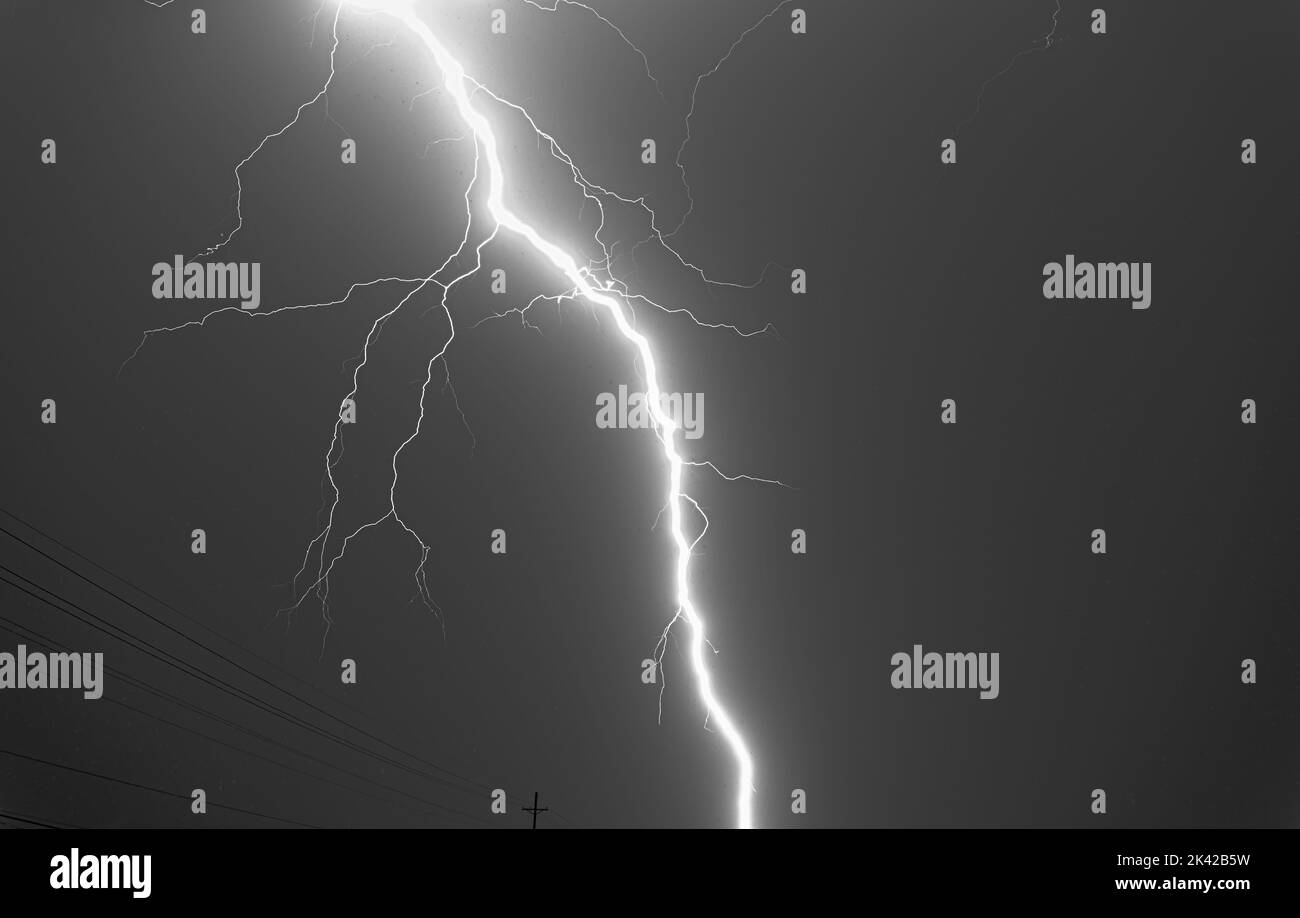 Veine d'un boulon d'éclair Banque D'Images