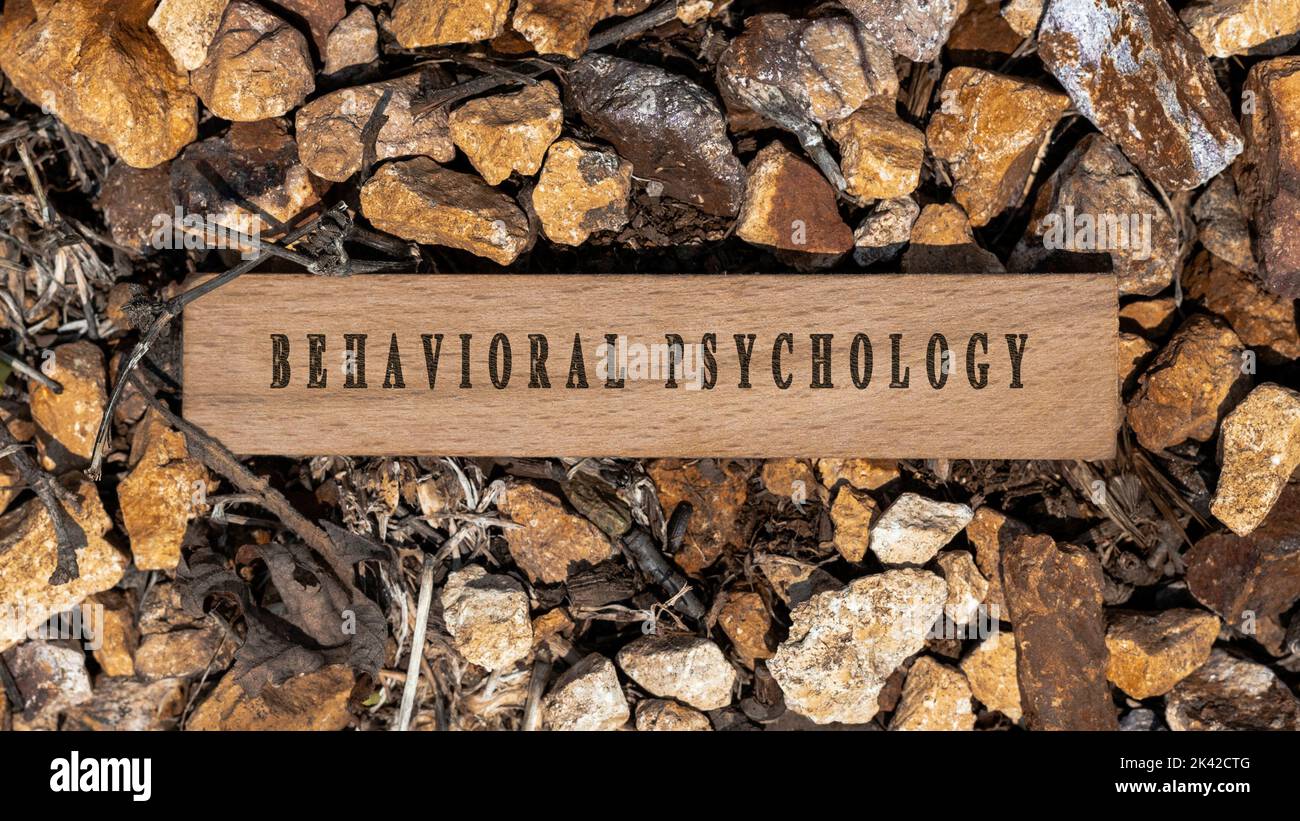 Maladie de psychologie comportementale. Ecrit sur une surface en bois. Cadre en bois sur des morceaux de pierre. Maladies et traitements Banque D'Images