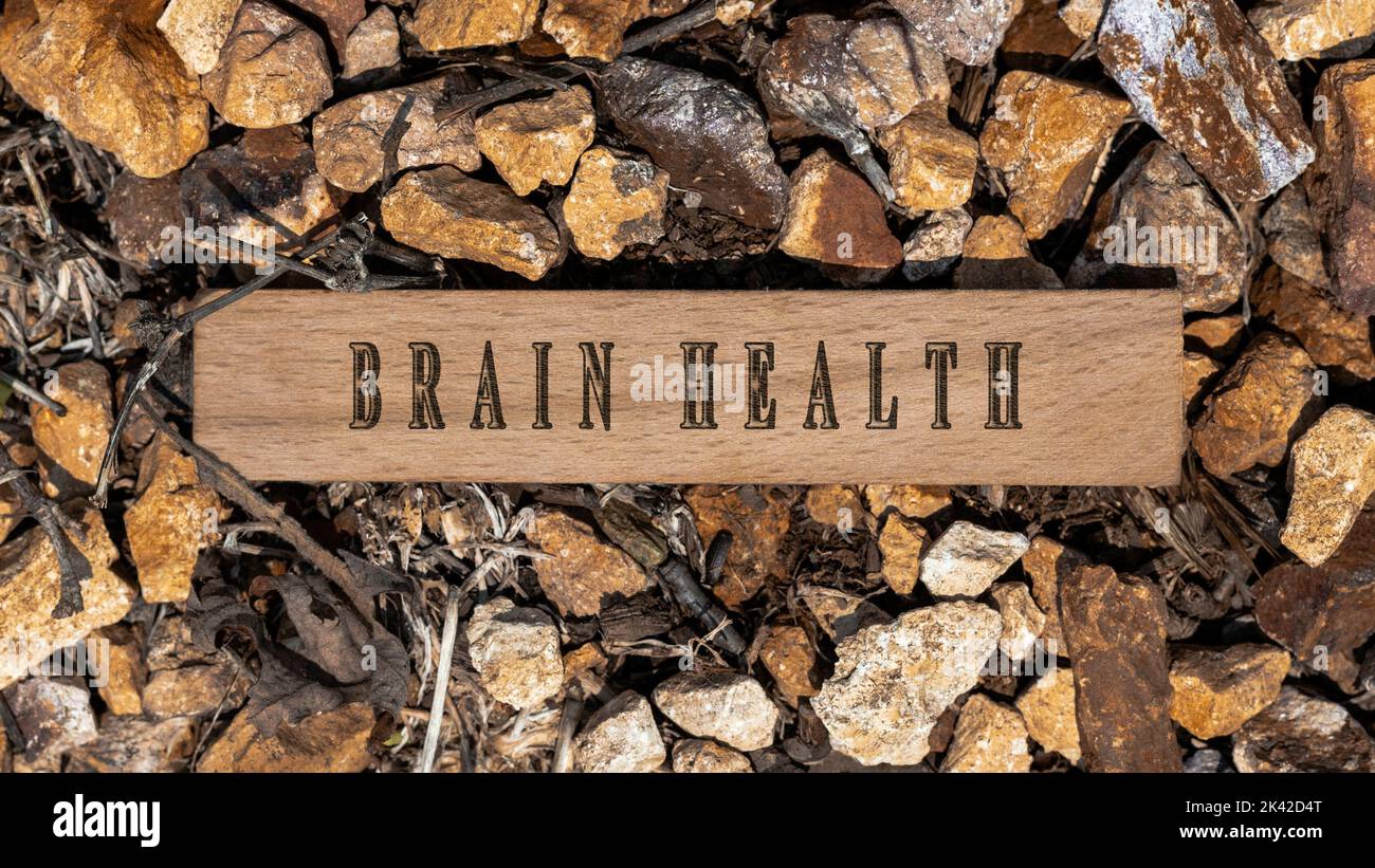 Maladie du cerveau. Ecrit sur une surface en bois. Cadre en bois sur des morceaux de pierre. Maladies et traitements Banque D'Images