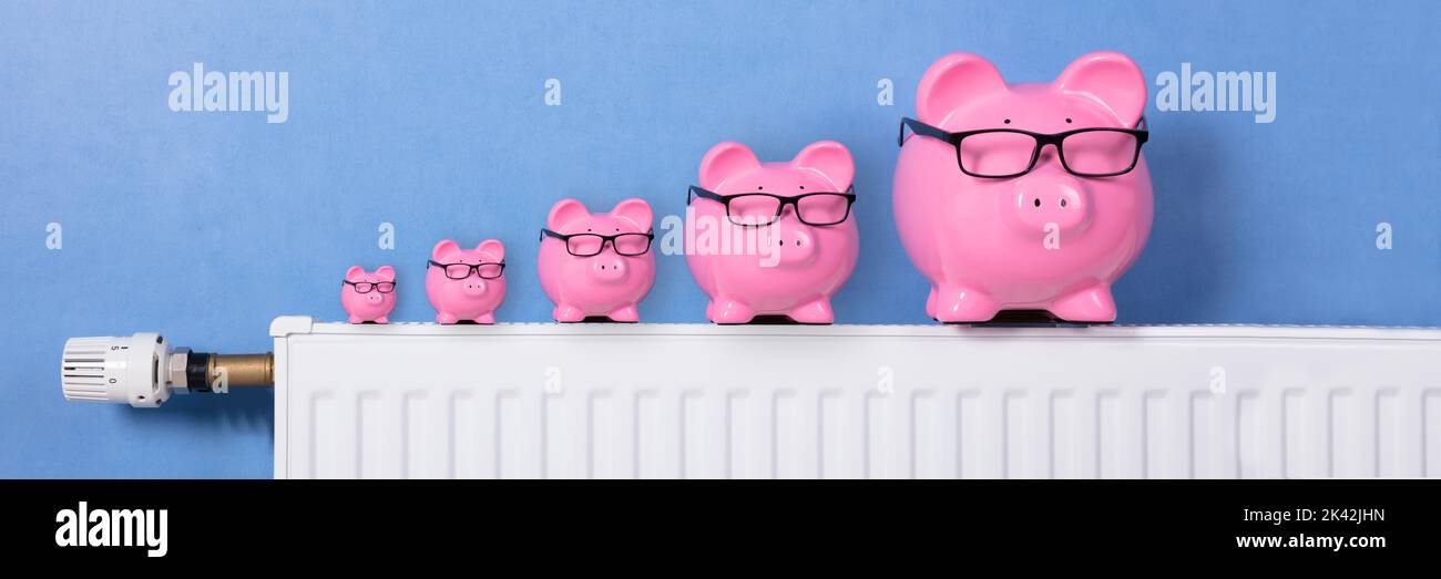 Réduction du coût de la chaleur domestique. Économies d'énergie et d'argent Banque D'Images
