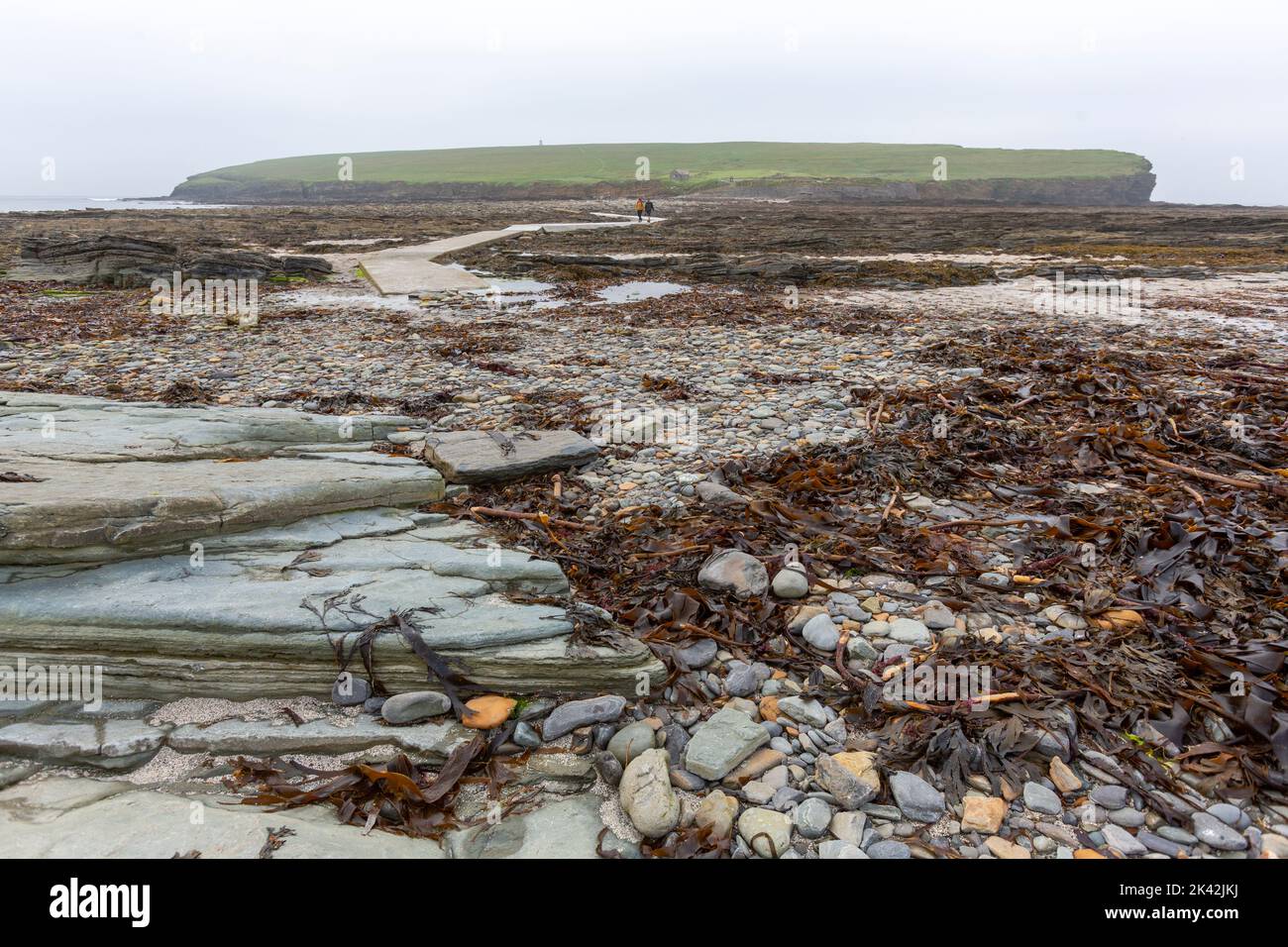 Touristes marchant le long de la voie de béton à l'île de Brough de Birsay, le continent d'Orkney, Écosse, Royaume-Uni Banque D'Images