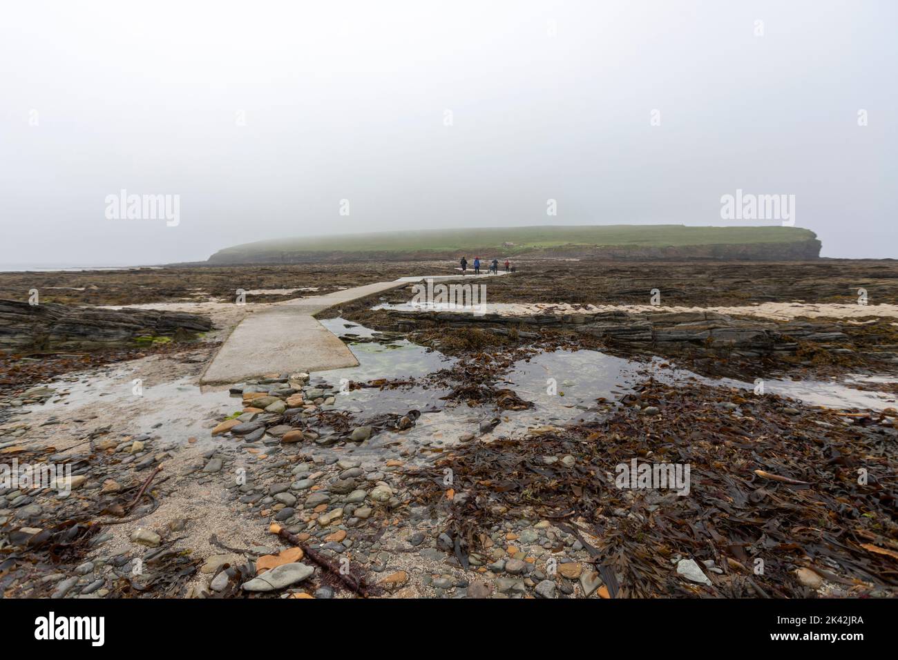Touristes marchant le long de la voie de béton à l'île de Brough de Birsay, le continent d'Orkney, Écosse, Royaume-Uni Banque D'Images