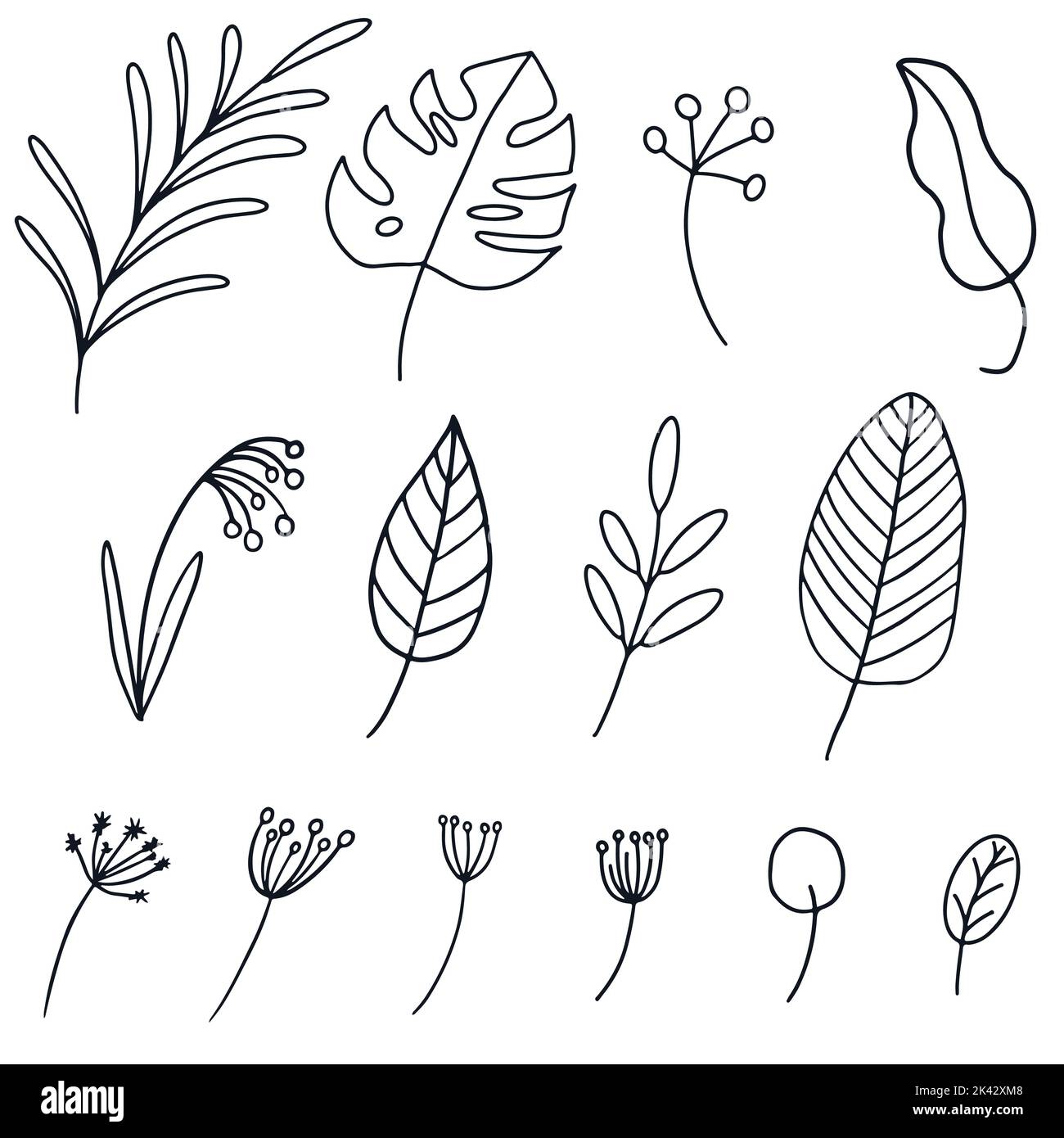 Ensemble de feuilles différentes en forme de caniche dessinées à la main. Illustration de la ligne vectorielle d'automne en noir isolée sur fond blanc. Illustration de Vecteur