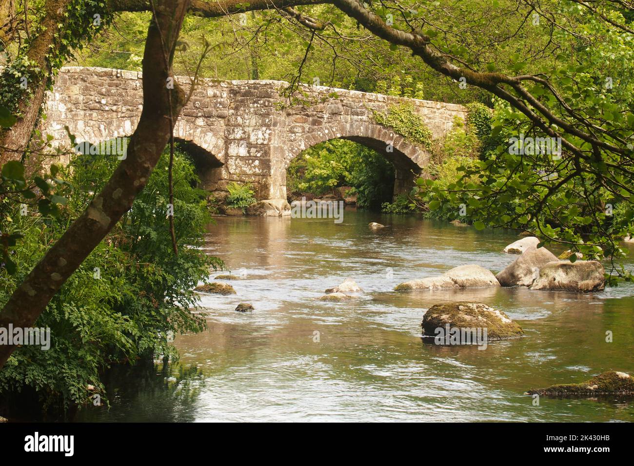 Fingle Bridge, Dartmoor, Devon, Angleterre, montrant les arches et la rivière Teign Banque D'Images