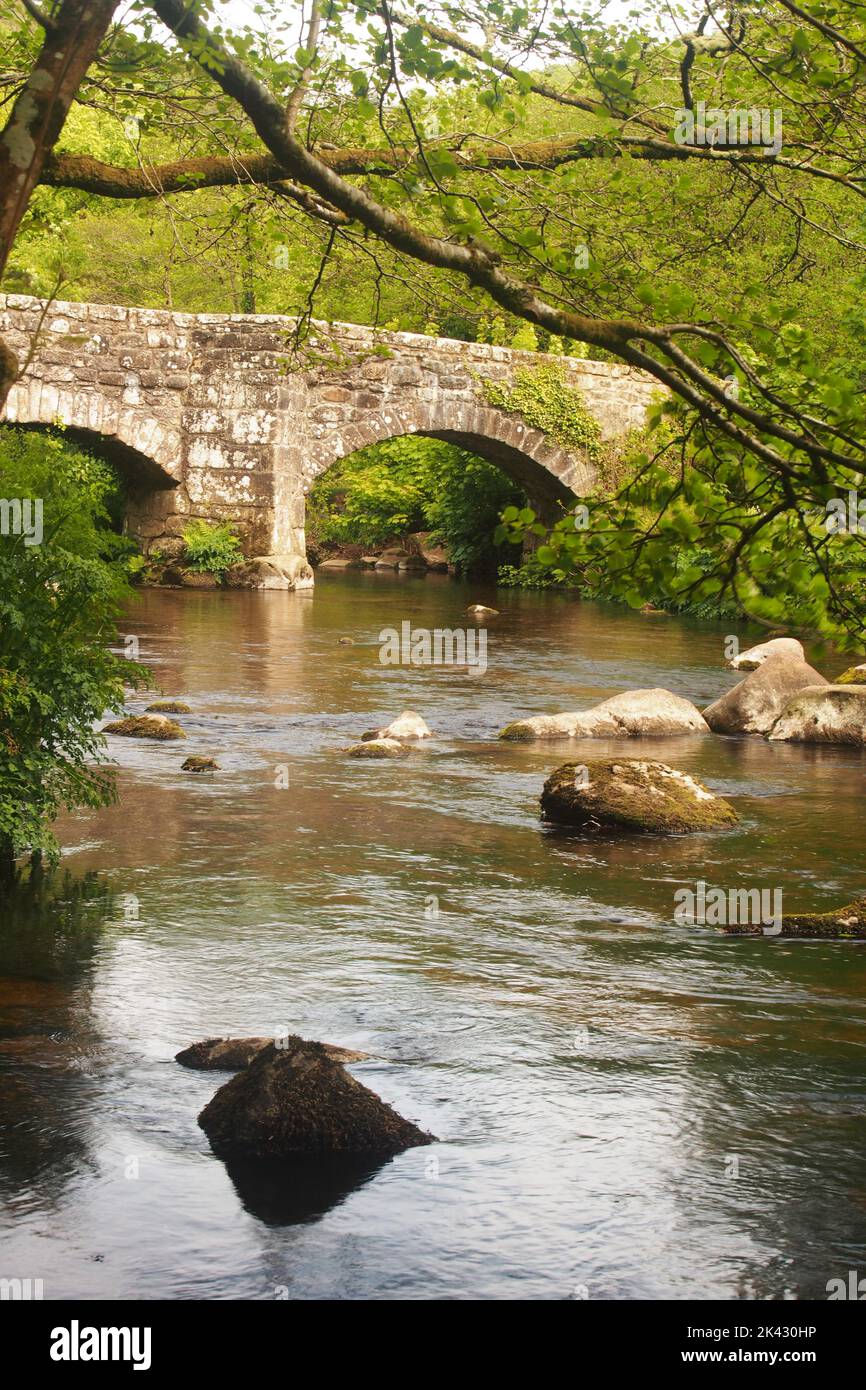 Fingle Bridge, Dartmoor, Devon, Angleterre, montrant les arches et la rivière Teign Banque D'Images