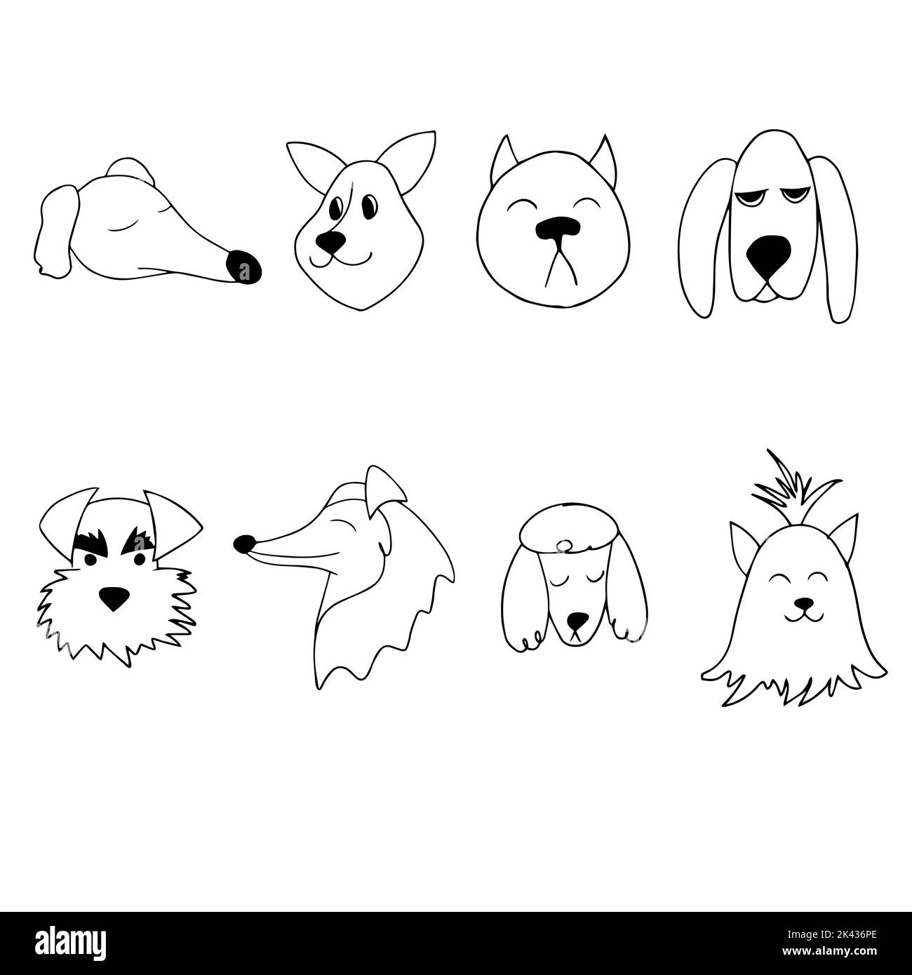Portrait vectoriel d'un chien de différentes races dans le style de dessin animé Doodle. Illustration pour animaux de compagnie du chien de basse, chasse au borzoï russe, pug, collie, coodle Illustration de Vecteur