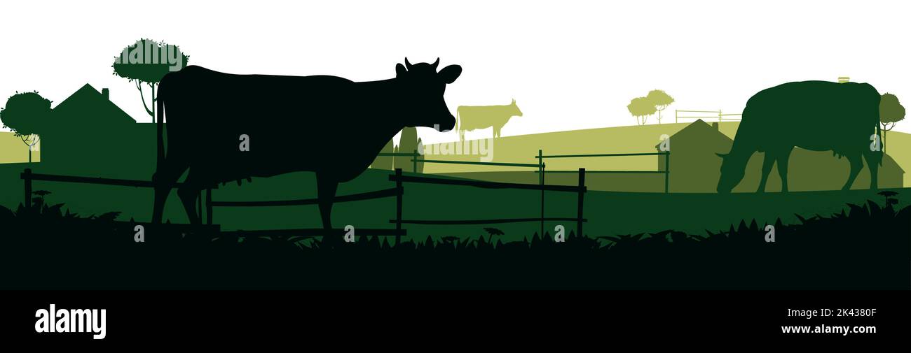 Les vaches se broutent dans les pâturages. Silhouette de l'image. Animaux de la ferme. Paysage rural avec maison de ferme. Animaux de ferme domestiques pour le lait et les produits laitiers. Isolé Illustration de Vecteur