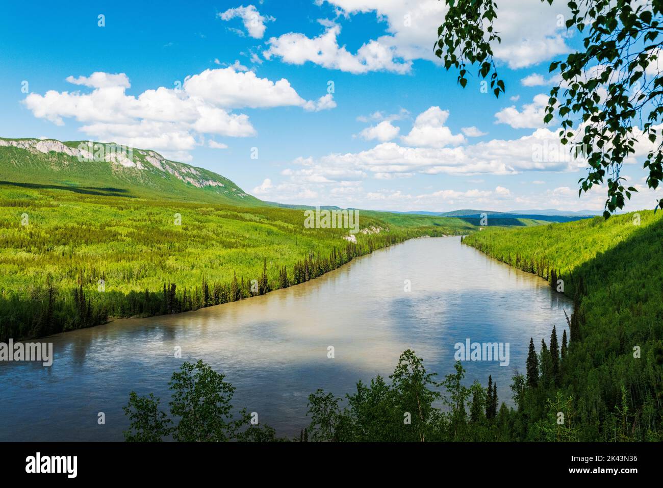 Rivière Liard près de Fireside; route de l'Alaska; Colombie-Britannique; Canada Banque D'Images