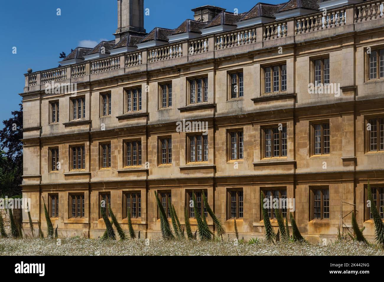 Kings College, Université de Cambridge, Royaume-Uni. 22/6/22 Banque D'Images