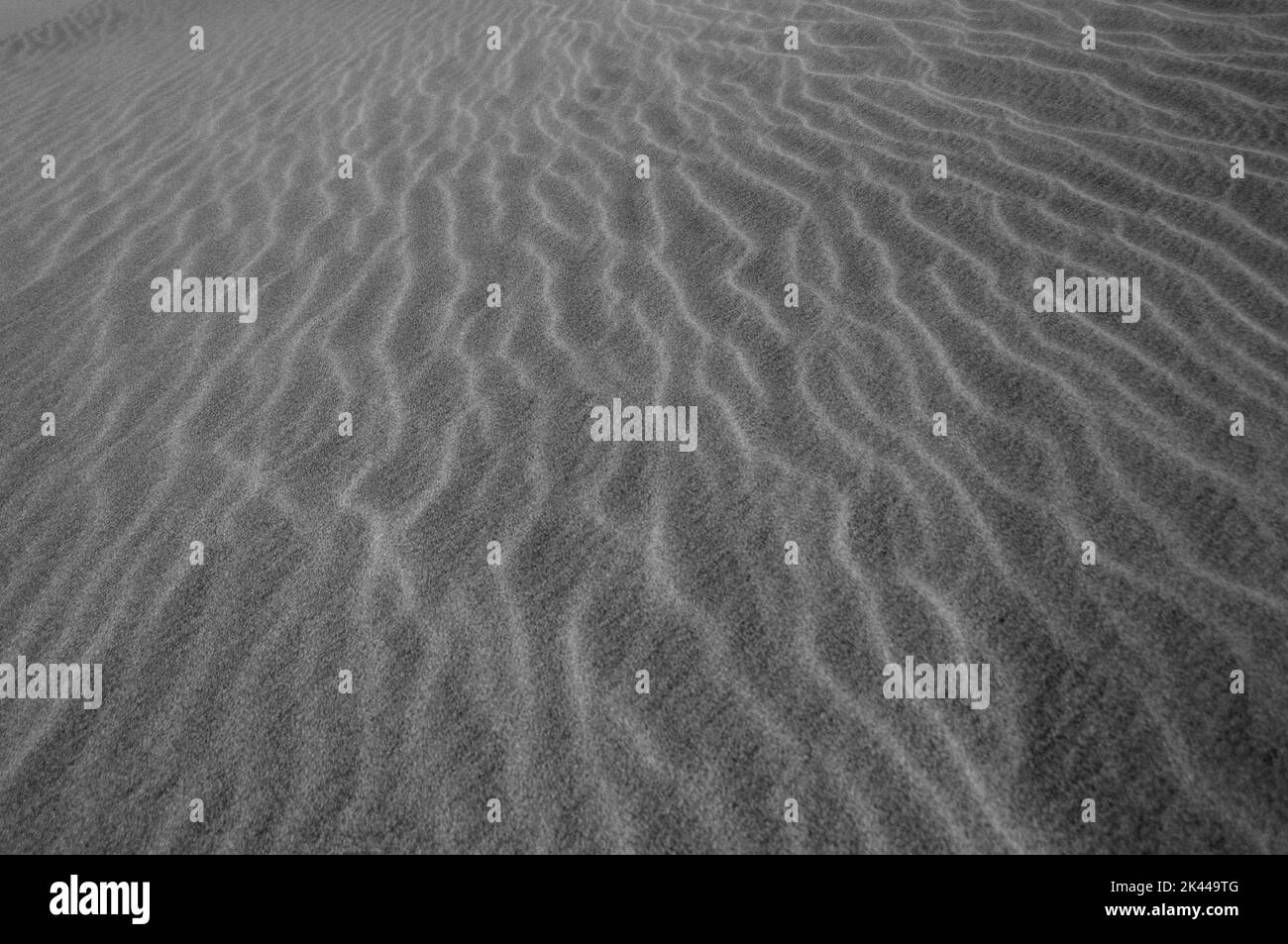 Dunes de sable Banque D'Images