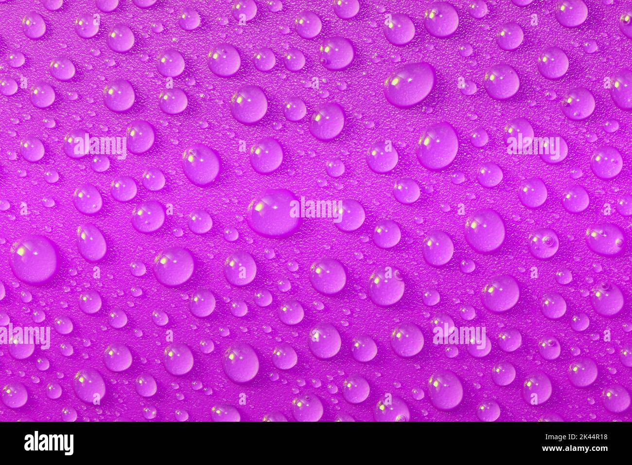 Un gros plan de gouttelettes d'eau roses sur une surface en plastique rose brillant donnant un aspect frais, éclatant et étincelant, capturé dans un studio Banque D'Images