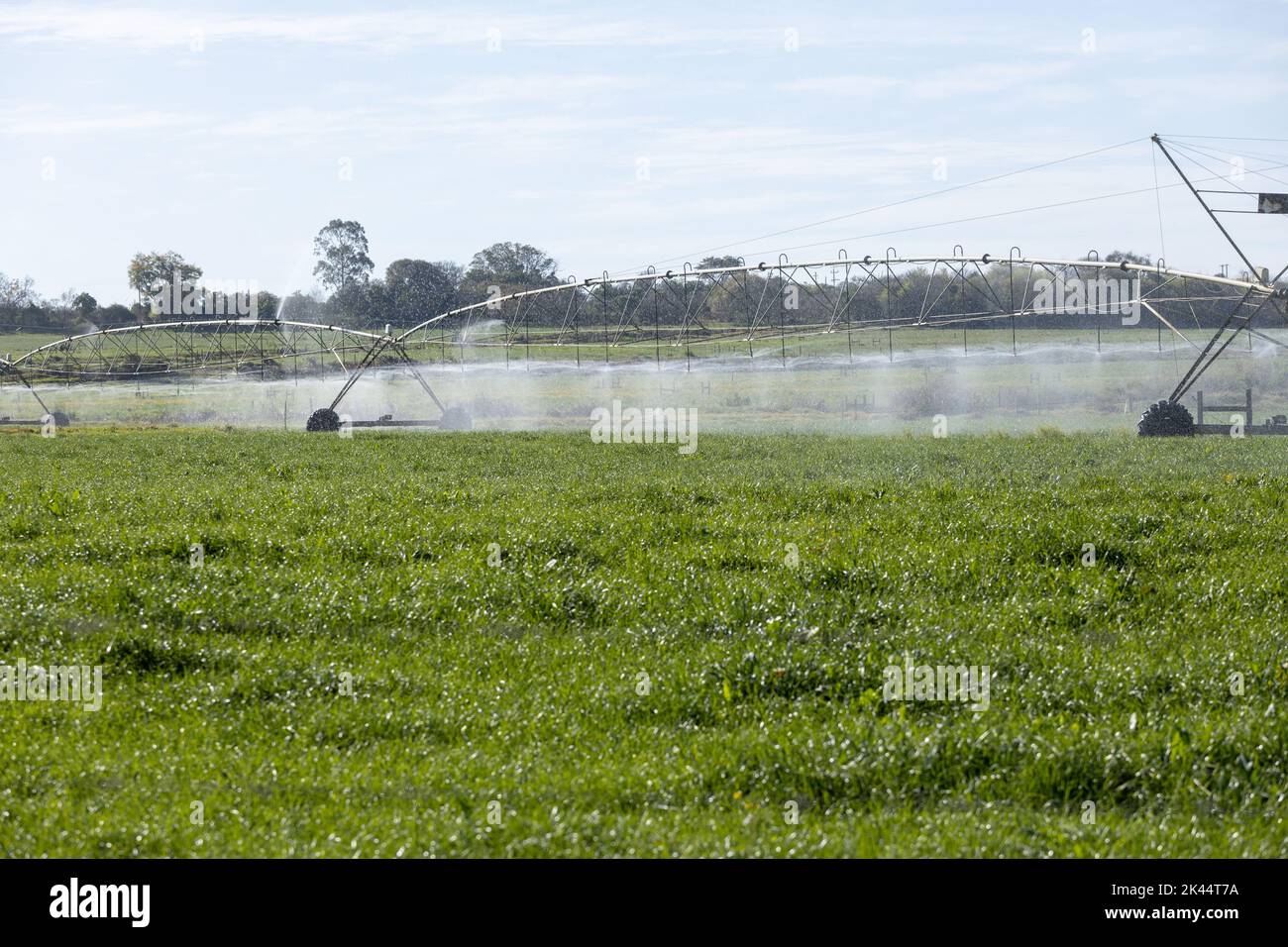 Un pivot d'irrigation arrosoir un champ de cultures Banque D'Images