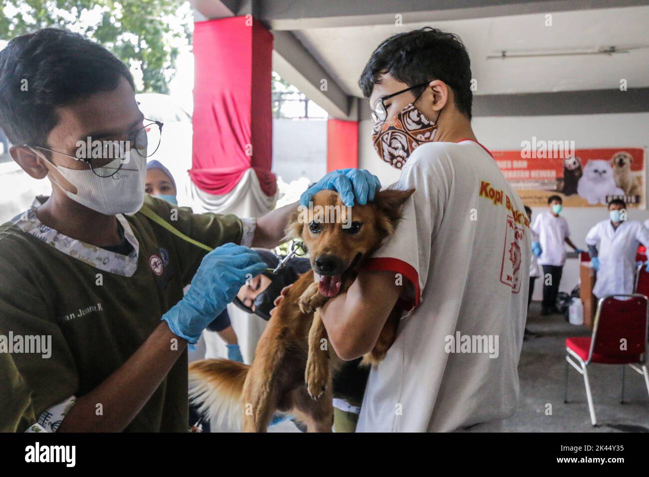 BOGOR, INDONÉSIE - 28 septembre 2022: animaux de compagnie dans la ville de Bogor, participant à des injections de vaccination contre la rage à la Journée mondiale de la rage, sur 28 septembre 2022 Banque D'Images