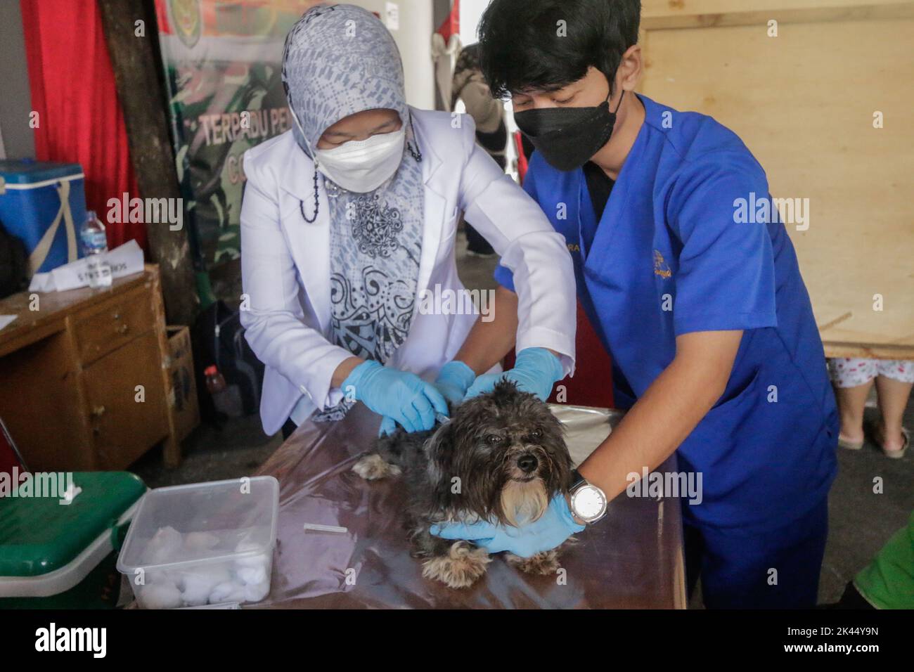 BOGOR, INDONÉSIE - 28 septembre 2022: animaux de compagnie dans la ville de Bogor, participant à des injections de vaccination contre la rage à la Journée mondiale de la rage, sur 28 septembre 2022 Banque D'Images