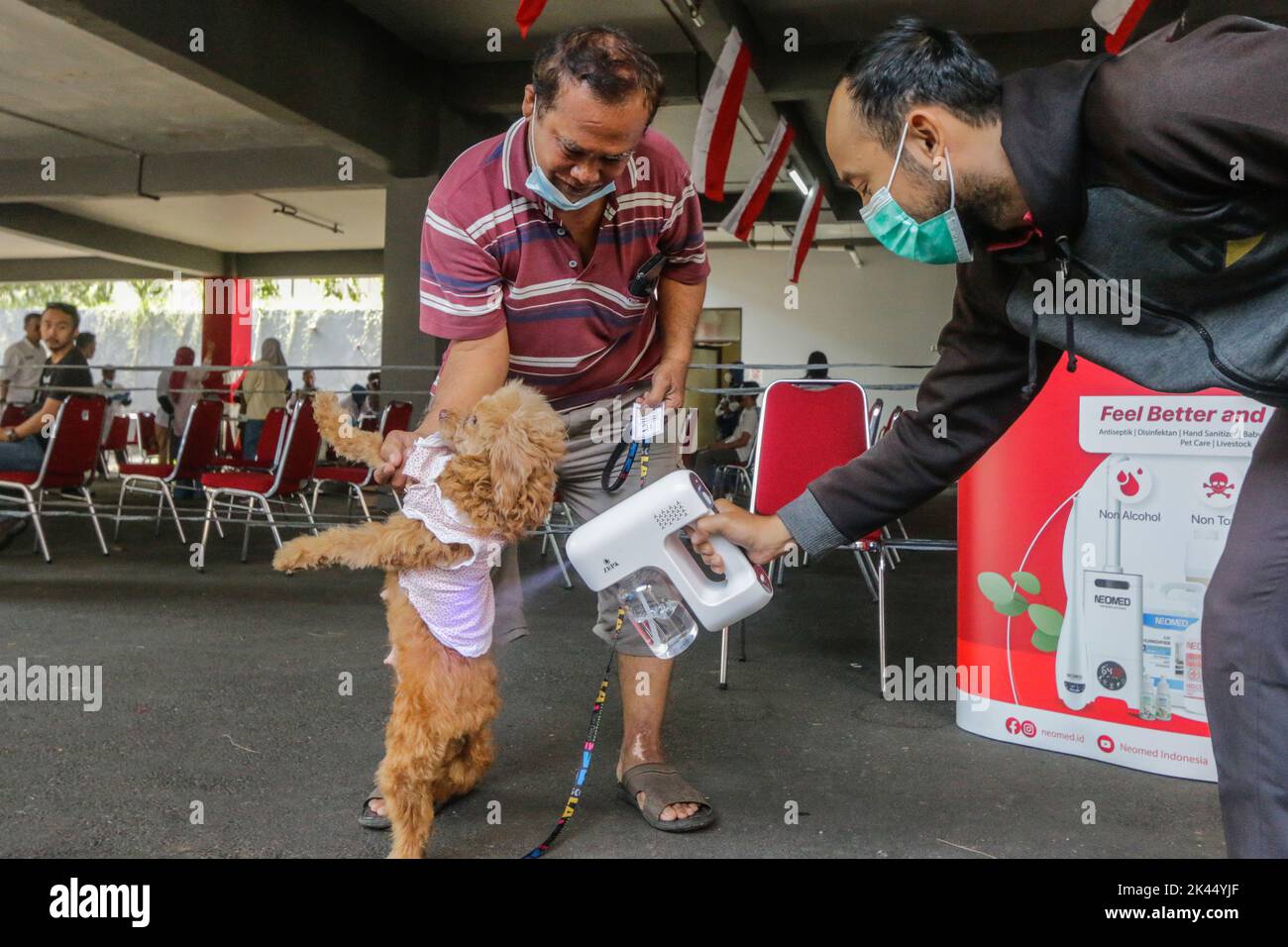BOGOR, INDONÉSIE - 28 septembre 2022: animaux de compagnie dans la ville de Bogor, participant à des injections de vaccination contre la rage à la Journée mondiale de la rage, sur 28 septembre 2022 Banque D'Images